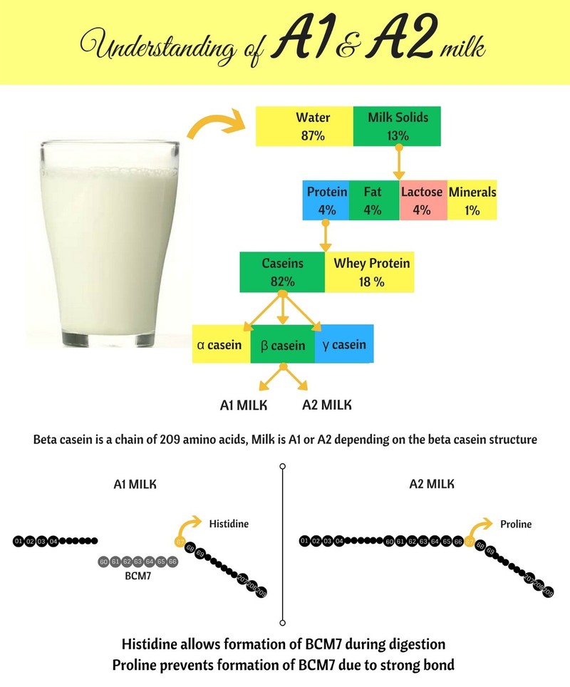 Diferencias entre kéfir de leche y de agua - Loto